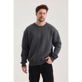 COMBİNE MİCHAİL Füme Pamuklu Bisiklet Yaka Oversize Şardonlu Basic Erkek Sweatshirt