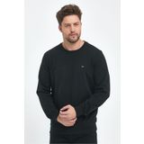 COMEOR Erkek Antrasit Bisiklet Yaka Nakış Detaylı Regular Fit Sweatshirt CMRE70