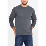 Comeor Erkek Bisiklet Yaka Göğüs Nakış Detaylı Gri Sweatshirt
