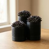 COMES - SIREN 3'lü Minimalist Dekoratif Saksı Seti (Siyah)