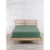 Comfort Craft Çift Kişilik Penye Lastikli Çarşaf - %100 Pamuk - 160 x 200 cm - Yeşil - 200x200
