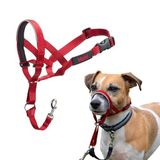 Company of Animals Halti Baş Tasması - Dolgulu Burun Bandı, Ayarlanabilir ve Yansıtıcı, Küçük Köpekler İçin Profesyonel Çekme Önleyici Eğitim Yardımcısı (Boyut 1, Kırmızı)