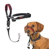 Company of Animals Halti Optifit Baş Tasması - Dolgulu Burun Bandı, Ayarlanabilir ve Yansıtıcı, Küçük Köpekler için Profesyonel Çekme Önleyici Eğitim Yardımcısı (S Boy)