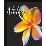 Composition Notebook - Plumeria Against Black Background: A 7.5" x 9.25" College Ruled Floral Notebook with 120 Lined Pages for Writing, Journaling and Everyday Notes