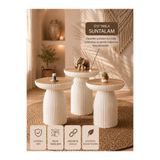 Concept Ayz Home Viona Minimal 3'lü Bohem Sehpa Seti – Suntalam Üst Tabla & Poliüretan Dekoratif Gövde | Modern, Şık ve Minimal Tasarım