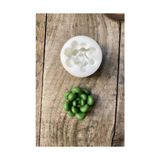 Concept Moonstone Sukulent Mum Kalıbı (Silikon) - 0,5 x 7 cm