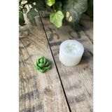 Concept Purpusorum Sukulent Mum Kalıbı (Silikon)