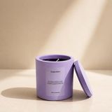 CONCEPT%100 Doğal Soya Mumu - 220G Lavanta Kokulu Dekoratif Beton Saksılı Kokulu Mum - Kapaklı V