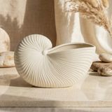 Conch Dekoratif Tabak | Minimal Modern Tasarım | Salon & Masa Üstü Aksesuar