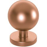 CONDİ TY001 PVD MAT BRONZ SABİT KAPI TOKMAĞI 60 MM
