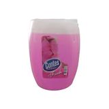 Contes 5 kg Fresh Yüzey Temizleyici