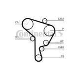 Continental Ct1044k2 Triger Eksantrik Gergi Seti Polo 01-Cordoba 02