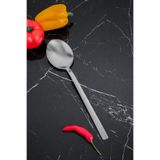Cooker Heybeli Paslanmaz Çelik 30 cm Kaşık, Gümüş