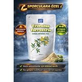 cool blue Saf Tribulus Terrestris Aktif Yaşam Desteği Demir Dikeni Tozu Çoban Çökerten Çayı 100gr ilacı değil