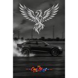 Cool Effect Anka Kuşu Araba Cam Stickerı - Oto Arka Cam Kesim Folyo