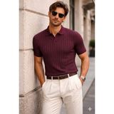 Cool Tarz Erkek Polo Yaka Ince Triko Tişört Yazlık Rahat Kalıp - Bordo