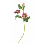 Çöplemecik Yapay Helleborus Çiçeği, Fuşya, 3'lü Demet, 52 cm, Ev Dekorasyonu için Şık Yapay Bitki Dalı
