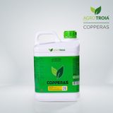 Copperas 5 L (%5 Cu)
