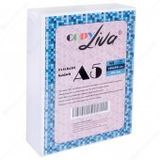 Copy Liva 80 gr 2 Paket 1000 Sayfa A5 Fotokopi Kağıdı