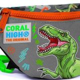 Coral High 12616 Kids Siyah Gri Dinozor Desenli Bel Çantası