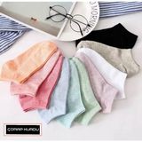Çorap Kurdu 10 Çift Ekonomik Paket Renkli Patik Çorap - 36 - 44
