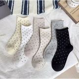 Çorap Kurdu 6'lı Ekonomik Paket Puantiyeli Kadın Soket Çorap Set - 36 - 42 - Karışık