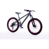 Corelli Jump Up - 24 Jant 12'' Kadro 9 Vites Dağ Bisikleti - Gri / Mor Rainbow Siyah