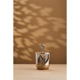 Cornella Ivy Antik Gold Detaylı Krem Ombreli Cam Kavanoz Küçük Ağız:12 Cm X Boy:13 Cm X Tümü:20 Cm