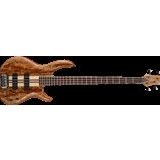 Cort A4 Custom Spnatw Bas Gitar