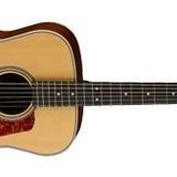 Cort L100 ONS Akustik Gitar