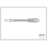 CORTECO 19031664 Fren Hortumu Arka Bmw 5 520 D 95- 275Mm