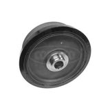 CORTECO Krank Kasnagı Bmw M47 N E81 E87 E46 E90 E91 E60 E61 E83
