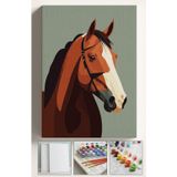 Corvo Sayılarla Boyama Seti Numaralı Tuval Fırça Boya At 40X50 Cm
