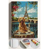 Corvo Sayılarla Boyama Seti Numaralı Tuval Fırça Boya Dahil Kasnaklı Set 40X50 cm - PARİS GOLDEN