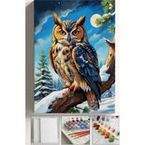 Corvo Sayılarla Boyama Tuval Seti Fırça Boya Dahil (Çıtalı) 40X50 Cm - Kış Ve Baykuş