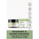 Cos.kim Mugwort Ve Madecassoside Içeren Yatıştırıcı Ve Onarıcı Nemlendirici Bakım Kremi 50 ml