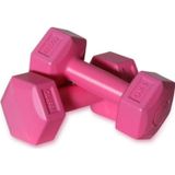 Cosfer 2,5 Kg 1Kkg X2 Adet Plastik Dambıl Pembe
