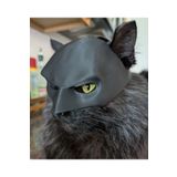 Cosinus Kediler için Batman Maskesi