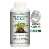 cosmeqplants Kök Güçlendirici Bitki Besini 250 ml