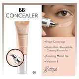 Cosmetics Bb Concealer 01 Spf 15 Göz Altı Kapatıcısı