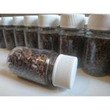 Cosmetics Deppo Silikonlu Saç Kaynak Boncuğu (500 Adet) Orta Kahve No:5