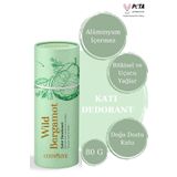 Cosmolive Doğal Roll On | Koltuk Altı Deodorant | Organik | Kokusuz | Bergamot | Rolon | 80 gr