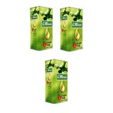ÇOTANAK Fındık Yağı 5 Lt X 3 Adet