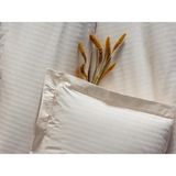Cotton Box %100 Pamuk Saten Çift Kişilik Nevresim Takımı - Ekru Rengi & Çizgili Şık Nevresim Seti - 200 x 220 cm - Renkli