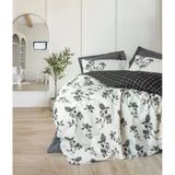 Cotton Box Balance Nevresım Takımı Tek Kısılık Ohıa Antrasıt