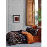 Cotton Box Dark Colin Tarçın Ranforce Tek Kişilik Nevresim Takımı