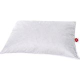 Cotton Box Kaz Tüyü Yastık %5 Gıdık-%95 Sırt 50X70 - 50 x 70 cm - Beyaz