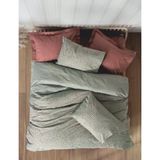 Cotton Box Petite Çift Kişilik Nevresim Takımı Mote Kiremit
