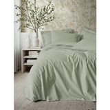 Cotton Box Plain Tek Kişilik Nevresim Takımı Plain Adaçayı Yeşil