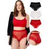 Cottonhill Dantel Detaylı Transparan Büyük Beden Bikini Külot 3'lü Paket Renkli Yumuşak Dokulu - 4XL